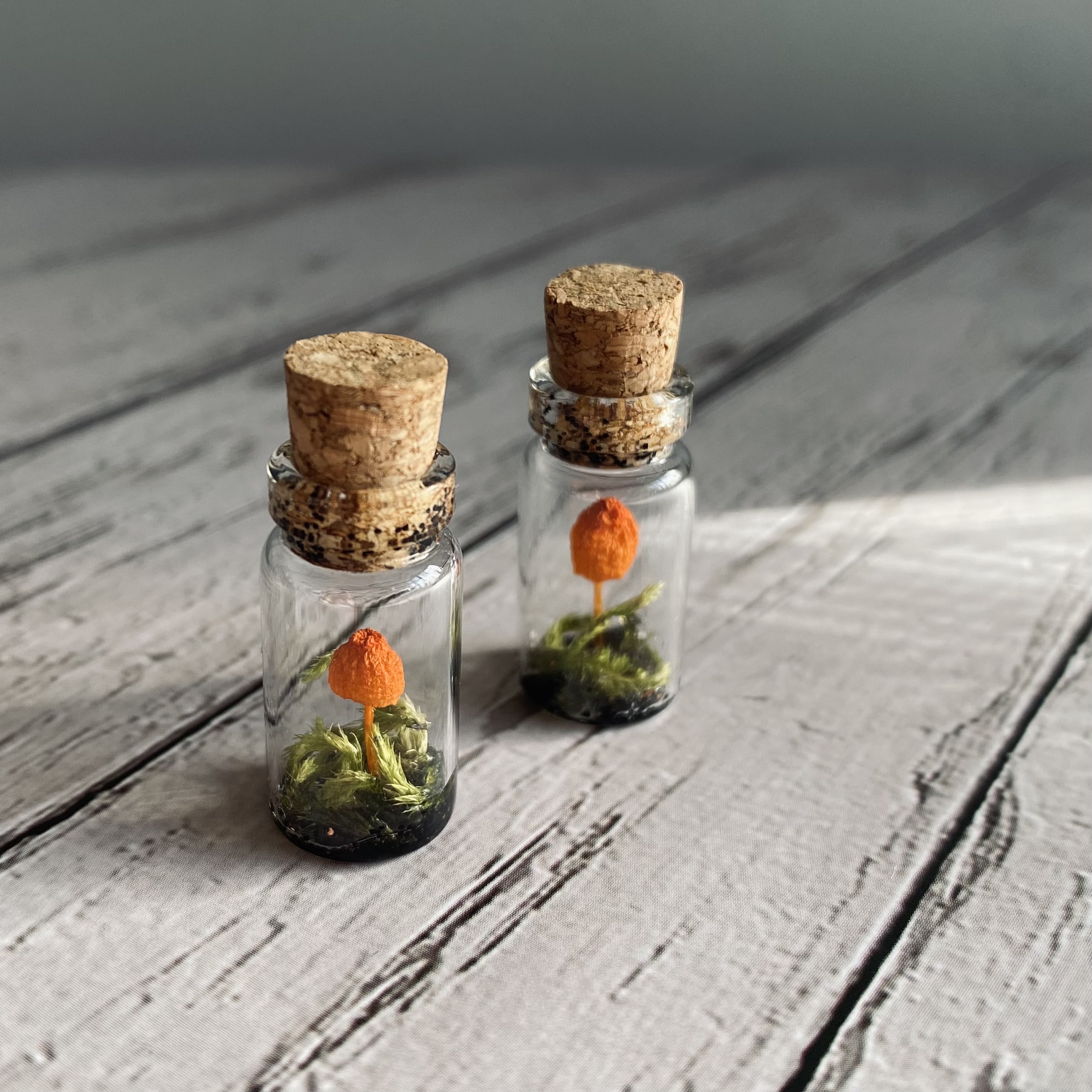 Small orange mushrooms and moss in two small glass bottles with corks.